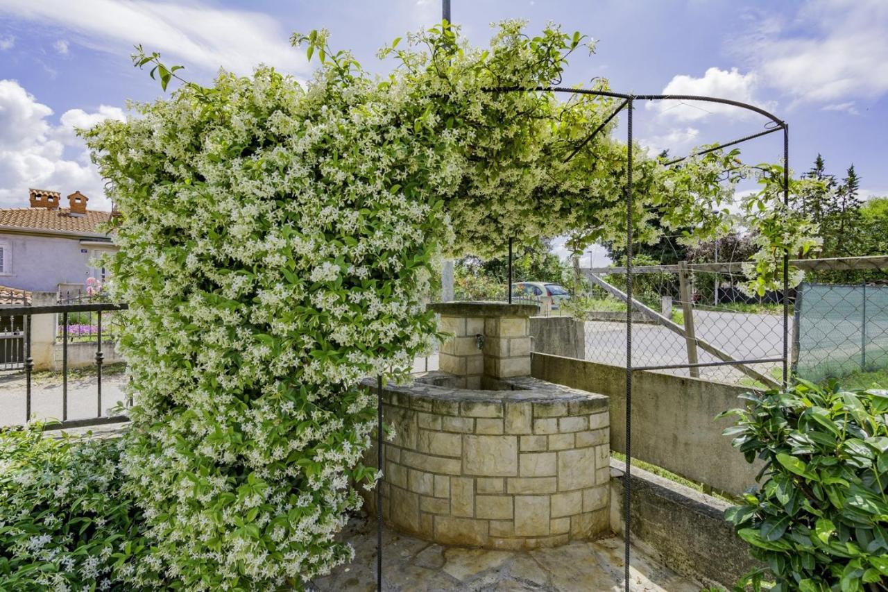 Bozica House With Apartment ウマグ エクステリア 写真